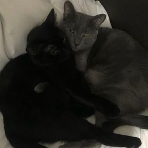 Meet your Posher, Lisa